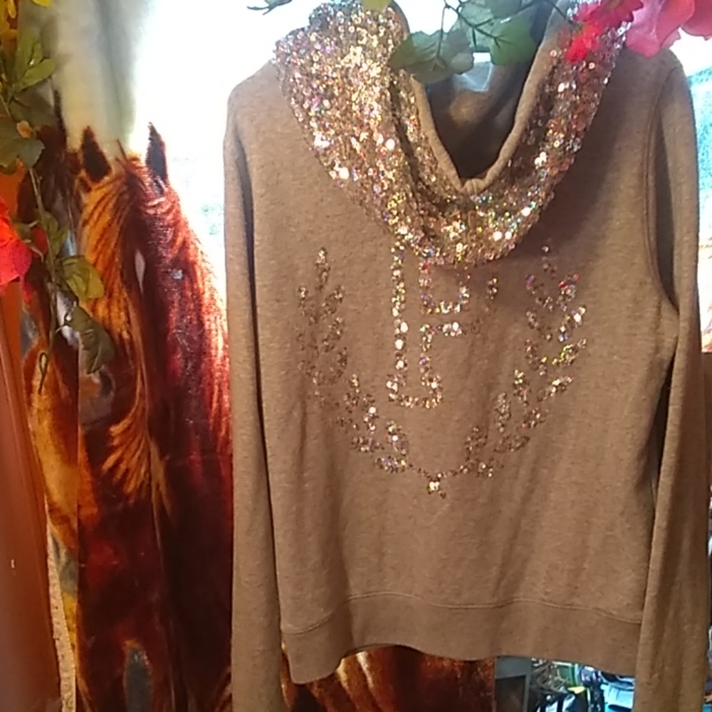 PINK Bling Hoodie